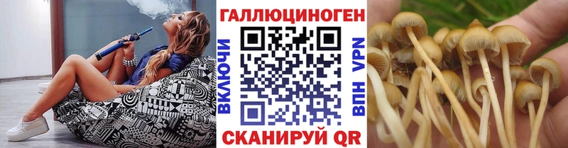 магазин продажи наркотиков  Партизанск  Псилоцибиновые грибы Psilocybe 