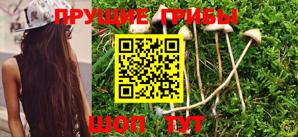 Галлюциногенные грибы GOLDEN TEACHER Партизанск